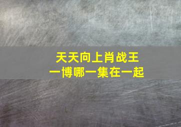 天天向上肖战王一博哪一集在一起