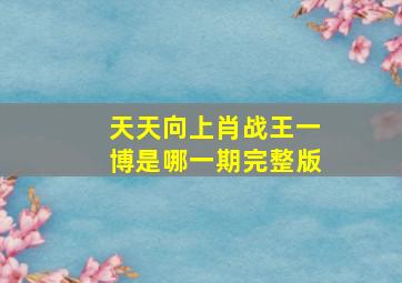 天天向上肖战王一博是哪一期完整版