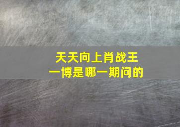 天天向上肖战王一博是哪一期问的