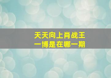 天天向上肖战王一博是在哪一期