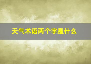 天气术语两个字是什么