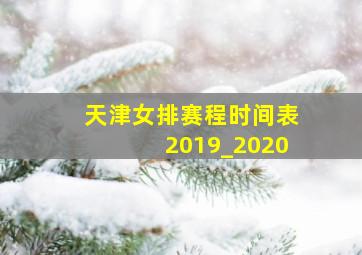 天津女排赛程时间表2019_2020