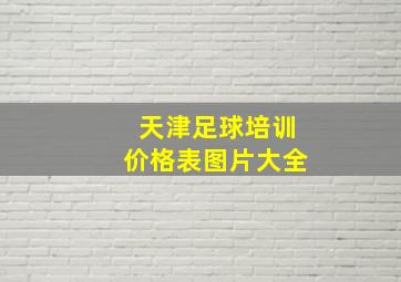 天津足球培训价格表图片大全