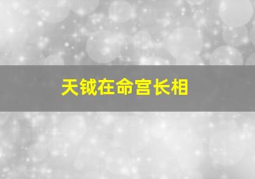 天钺在命宫长相