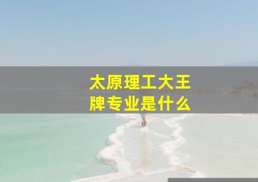 太原理工大王牌专业是什么