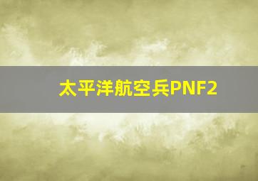 太平洋航空兵PNF2