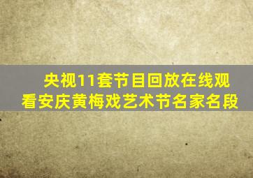 央视11套节目回放在线观看安庆黄梅戏艺术节名家名段