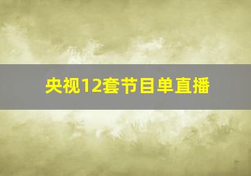 央视12套节目单直播