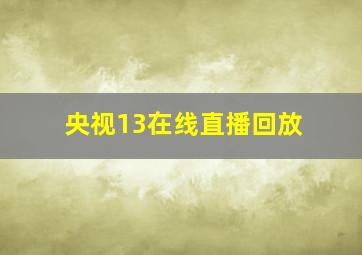 央视13在线直播回放