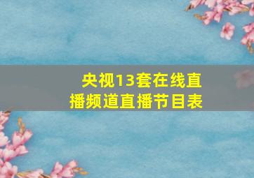 央视13套在线直播频道直播节目表