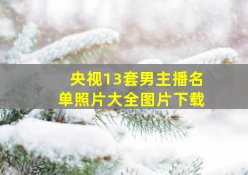 央视13套男主播名单照片大全图片下载