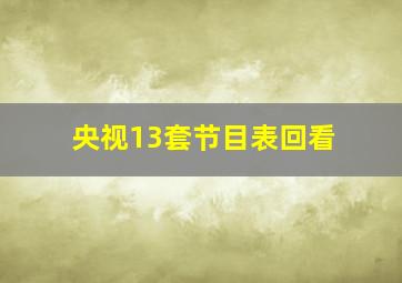 央视13套节目表回看