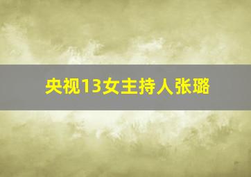 央视13女主持人张璐