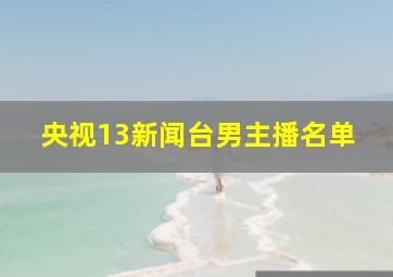 央视13新闻台男主播名单