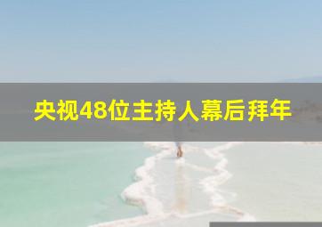 央视48位主持人幕后拜年