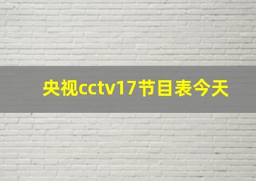 央视cctv17节目表今天