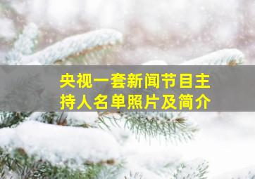 央视一套新闻节目主持人名单照片及简介