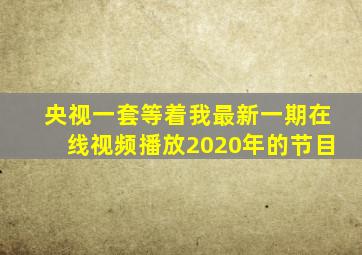 央视一套等着我最新一期在线视频播放2020年的节目