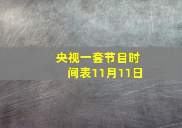 央视一套节目时间表11月11日