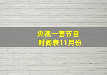 央视一套节目时间表11月份