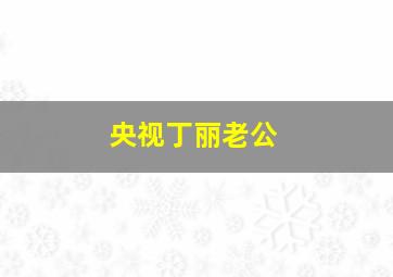 央视丁丽老公