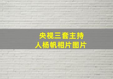 央视三套主持人杨帆相片图片