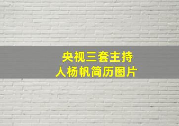 央视三套主持人杨帆简历图片