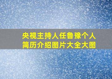 央视主持人任鲁豫个人简历介绍图片大全大图