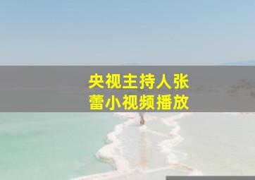 央视主持人张蕾小视频播放