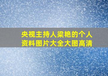 央视主持人梁艳的个人资料图片大全大图高清