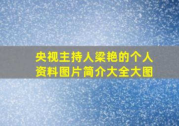 央视主持人梁艳的个人资料图片简介大全大图