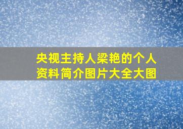 央视主持人梁艳的个人资料简介图片大全大图