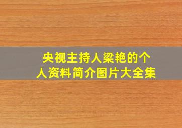 央视主持人梁艳的个人资料简介图片大全集