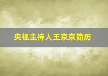 央视主持人王京京简历