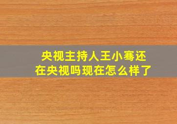 央视主持人王小骞还在央视吗现在怎么样了