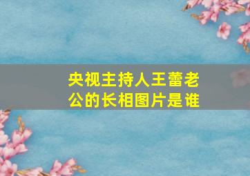 央视主持人王蕾老公的长相图片是谁