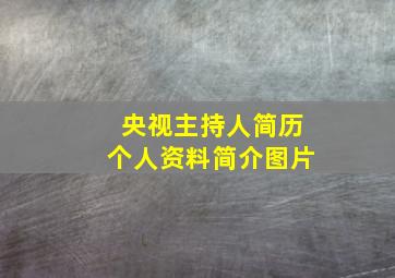 央视主持人简历个人资料简介图片