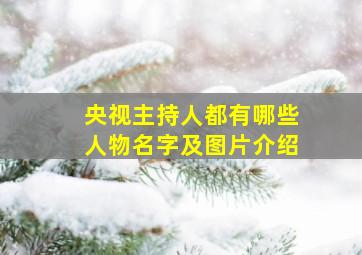 央视主持人都有哪些人物名字及图片介绍