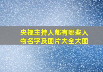 央视主持人都有哪些人物名字及图片大全大图