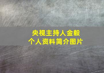 央视主持人金毅个人资料简介图片