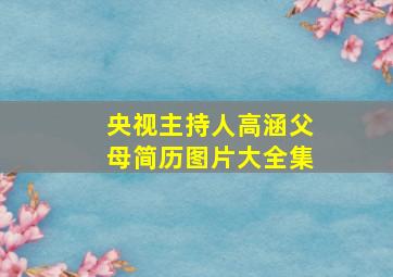 央视主持人高涵父母简历图片大全集