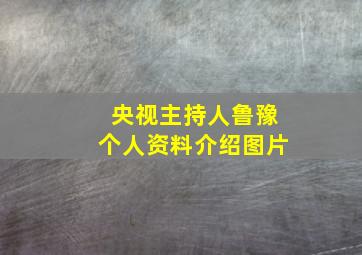 央视主持人鲁豫个人资料介绍图片