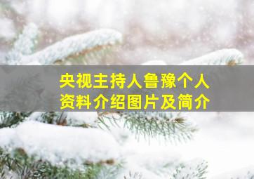 央视主持人鲁豫个人资料介绍图片及简介