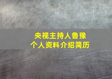 央视主持人鲁豫个人资料介绍简历