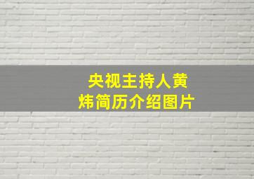 央视主持人黄炜简历介绍图片