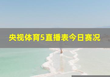 央视体育5直播表今日赛况