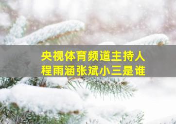 央视体育频道主持人程雨涵张斌小三是谁