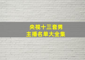 央视十三套男主播名单大全集