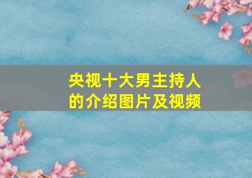 央视十大男主持人的介绍图片及视频