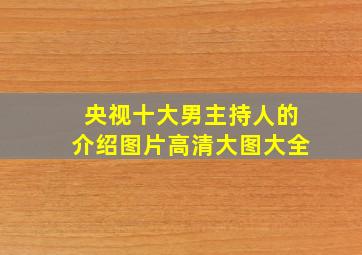 央视十大男主持人的介绍图片高清大图大全